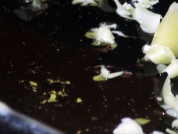 Transformation, Dragana Andjelić