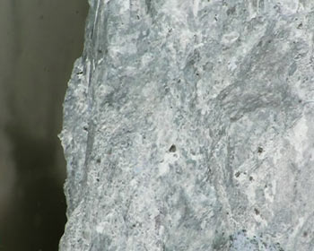 Walking, Michał Brzeziński