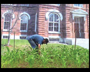 Untitled (cubicle), A. Jacob Galle