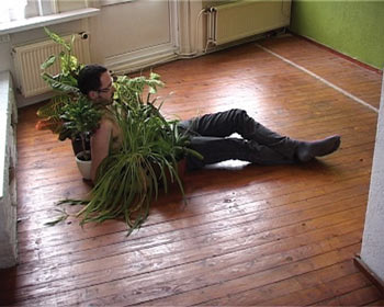 Plants, Gerwin Luijendijk