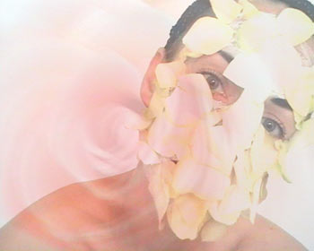 Rose is a Rose, Evelin Stermitz