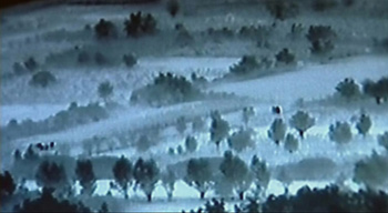 Postcards by Nika Autor