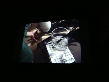 Pain screening, Kinodvor cinema