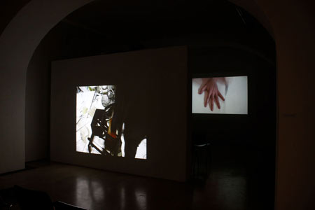 Pain with the Thousand Teeth, Vžigalica gallery