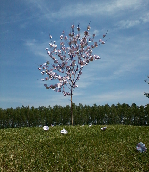 Lada Cerar, Odpihni moje račune