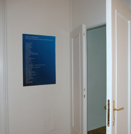 Video in Progress 3: Fields of the Performative in Slovenj Gradec