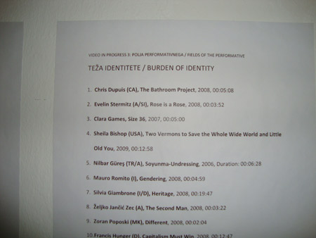 Video in Progress 3: Fields of the Performative in Slovenj Gradec