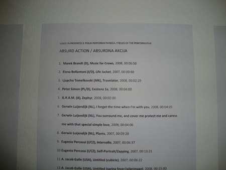 Video in Progress 3: Fields of the Performative in Slovenj Gradec