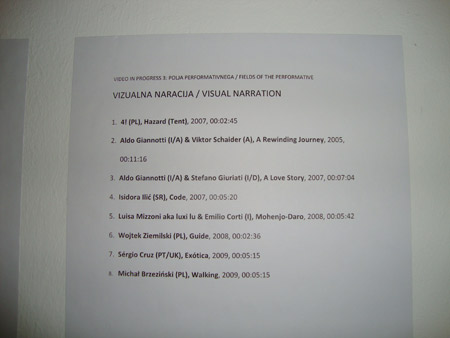 Video in Progress 3: Fields of the Performative in Slovenj Gradec