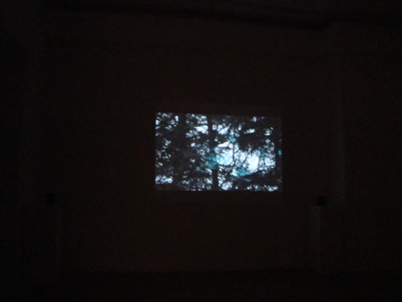 Video in Progress 3: Fields of the Performative in Slovenj Gradec