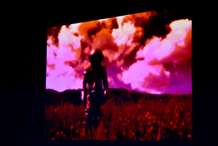 Video in Progress 3: Fields of the Performative in Slovenj Gradec