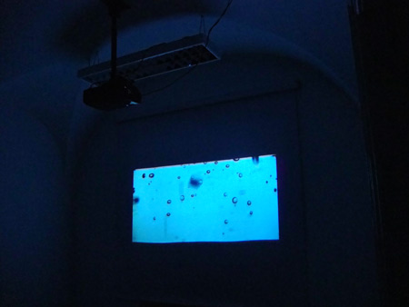 Video večerja / Video Dinner