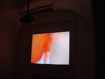 Video večerja / Video Dinner